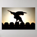 Suche nach falken poster Sonnenuntergang