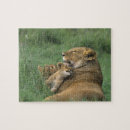 Suche nach afrikanischer löwe puzzle Wild