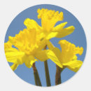 Suche nach ostern blumen aufkleber Farbenfroh