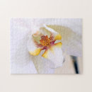 Suche nach weiße orchideen puzzle Blütenblätter