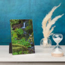 Suche nach wälder fotoplatten Wasserfall