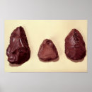 Suche nach paläolithisch poster Alter