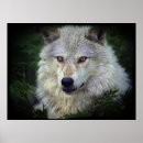Suche nach wolfe poster Grauwolf