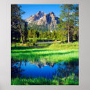 Suche nach heller wald poster Grün