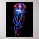 Suche nach meereswelt poster Fotografie