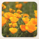 Suche nach mohnblumen untersetzer Orange