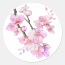 Suche nach sakura aufkleber Minimal