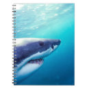 Suche nach weißer hai kleine notizbücher Fisch