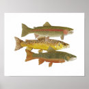 Suche nach forelle poster Regenbogen