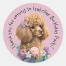 Suche nach poodle aufkleber Welpe