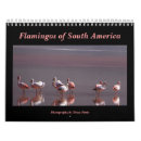 Suche nach südamerika kalender Flamingo