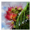 Suche nach rosa blüten auf baum poster Wandkunst