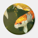 Suche nach koi karpfen magnete Wasser