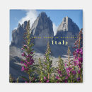 Suche nach zinn magnete Dolomiten