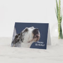 Suche nach dogge karten Däne