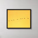 Suche nach wildlife leinwandbilder Sonnenuntergang