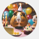 Suche nach schweinefleisch aufkleber Guinea
