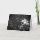 Suche nach schwarzweiss baum postkarten Wald