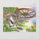 Suche nach racoon postkarten Racon