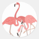 Suche nach tropische vögel aufkleber Mädchenhaft