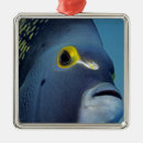 Suche nach unterwasser ornamente Meerestiere