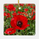 Suche nach poppy ornamente Blume