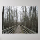 Suche nach wildnis poster Wald