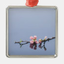 Suche nach wasser ornamente Reflexion