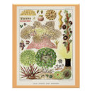 Suche nach das great barrier reef poster Australien