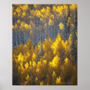 Suche nach temperatur poster Natur