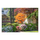 Suche nach japanischer garten poster Blumen