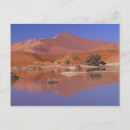 Suche nach namib postkarten Sand