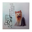 Suche nach yorkshire terrier fliesen Haustier
