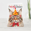 Suche nach maine coon cat karten Münzkatze