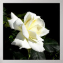 Suche nach hybrider poster Flora
