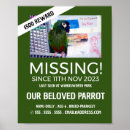 Suche nach haustier poster Katze