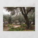 Suche nach gethsemane postkarten Israel