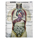 Suche nach vintage anatomie kleine notizbücher Medizinisch