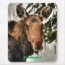 Suche nach moose mousepads Tierwelt