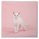 Suche nach junges tier fliesen Tiere