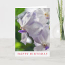 Suche nach weiße orchidee karten Blumen
