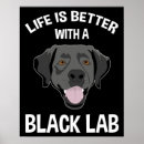 Suche nach labrador cartoon poster Niedlich