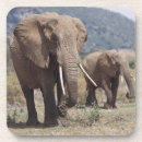 Suche nach afrikanischer elefant untersetzer Tag