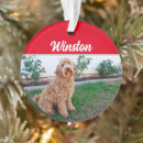 Suche nach labradoodles ornamente Dogs