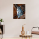Suche nach hornhaut poster Eule