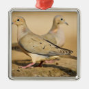 Suche nach für erwachsene ornamente Fauna