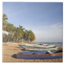 Suche nach dominikanische republik fliesen Palme