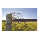 Suche nach stacheldraht poster Ranch