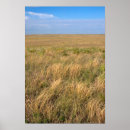 Suche nach prarie poster Grasland
