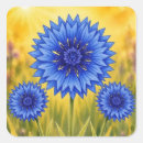 Suche nach kornblumen aufkleber Botanisch